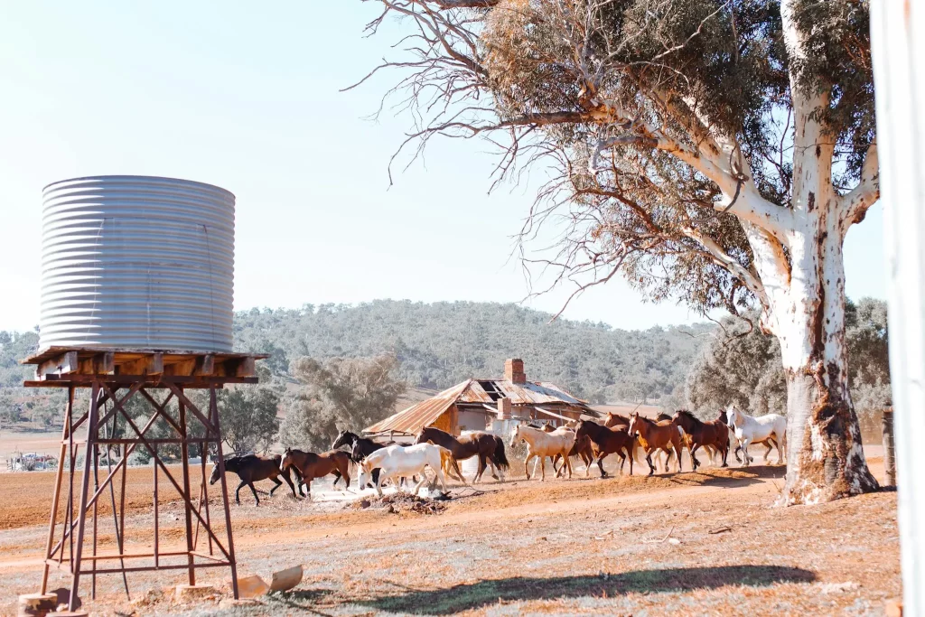 Bulk water supplier serving Logan and Scenic Rim areas